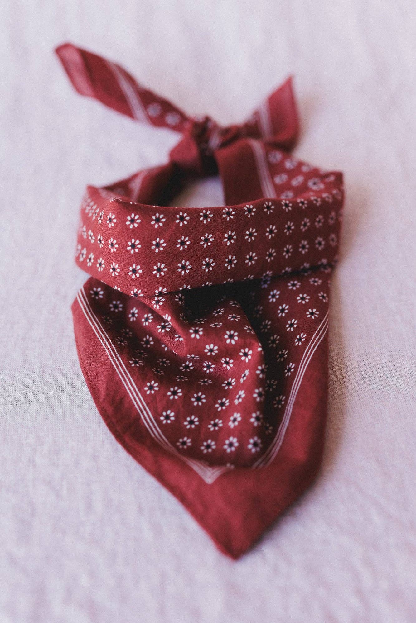 Rylee Flower Field Bandana Scarf - Rust: Rust